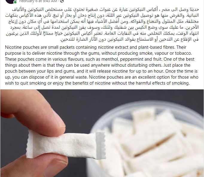 أكياس النيكوتين