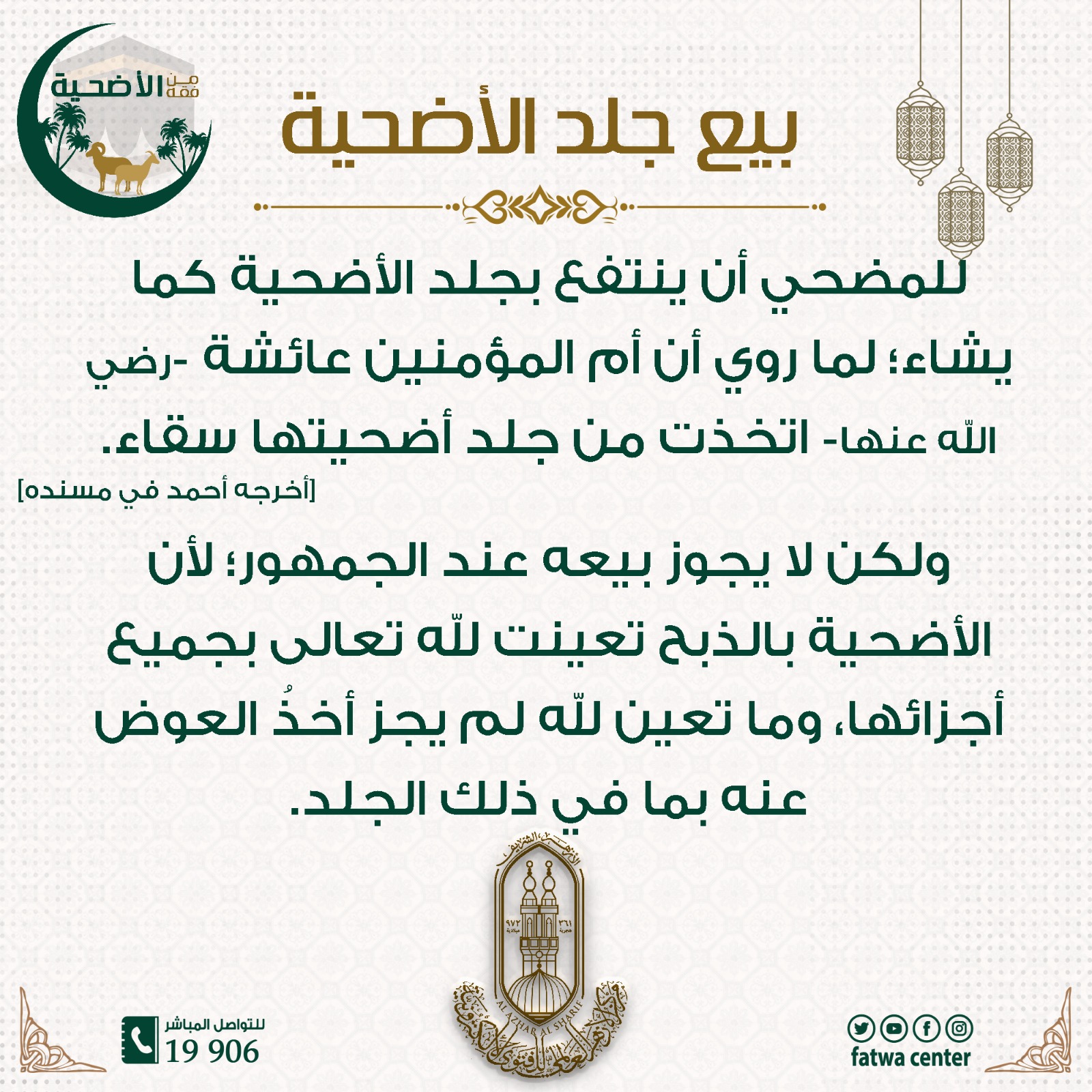 الأضحية