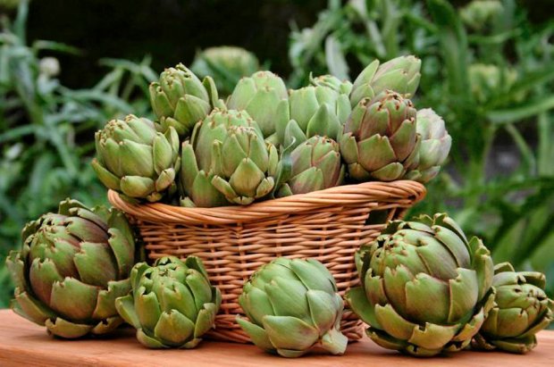 خرشوف