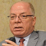 حلمى النمنم