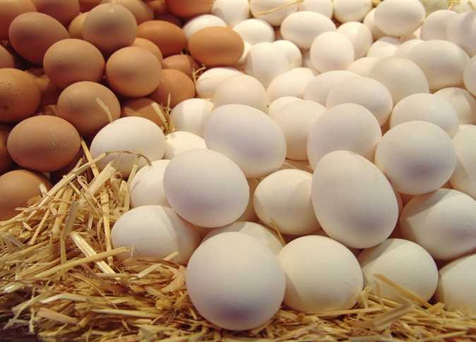صورة البيض الداجن - أرشيفية