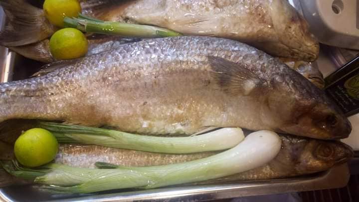 طريقة عمل الفسيخ الجاهز