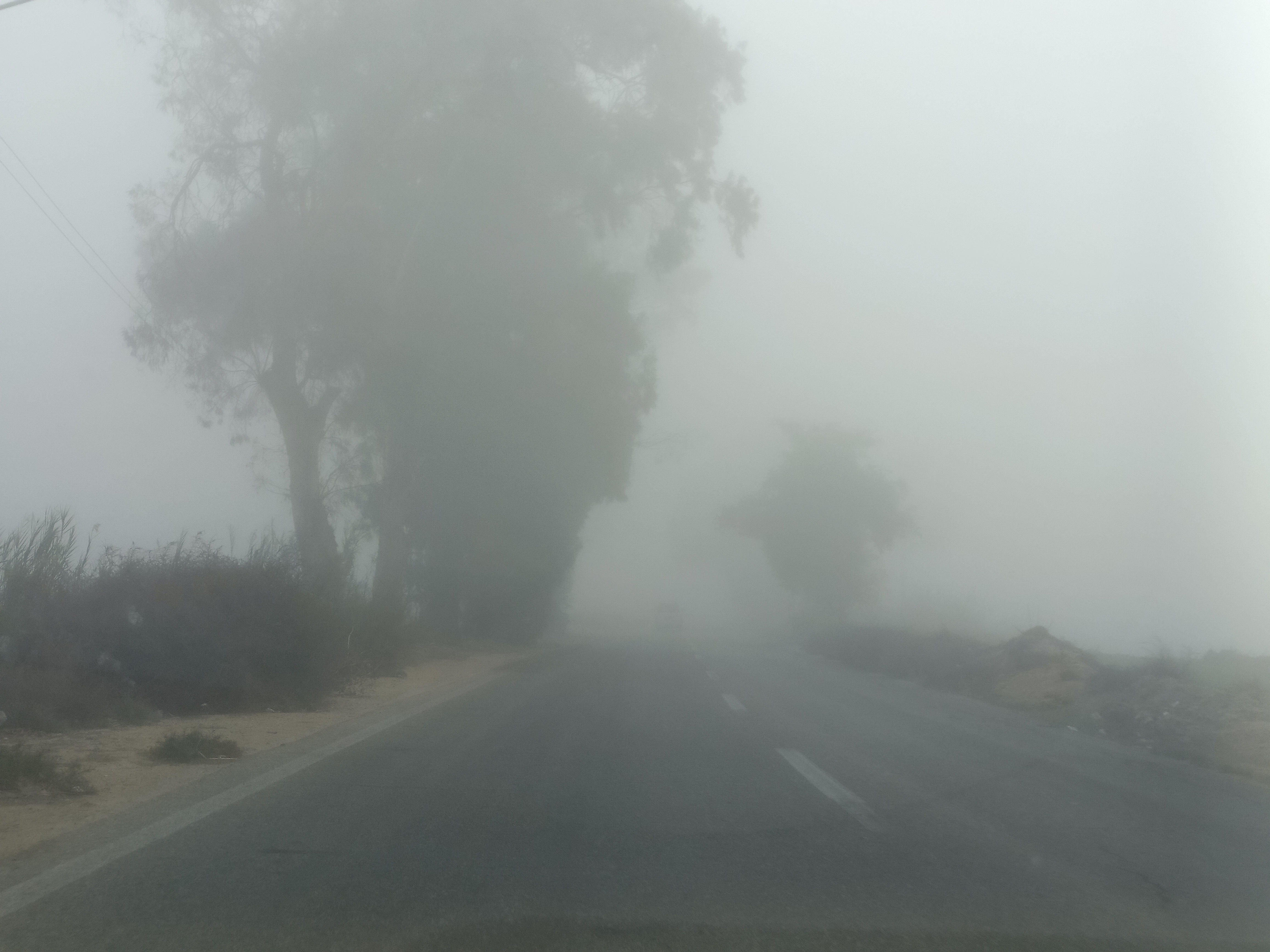 شبورة