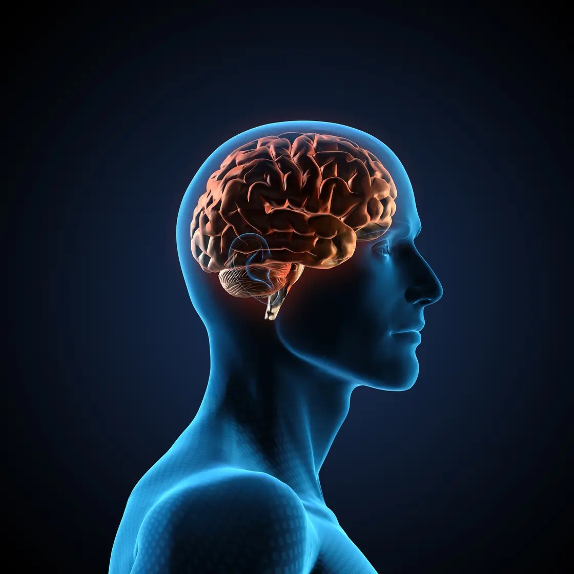 أطعمة مفيدة لصحة الدماغ