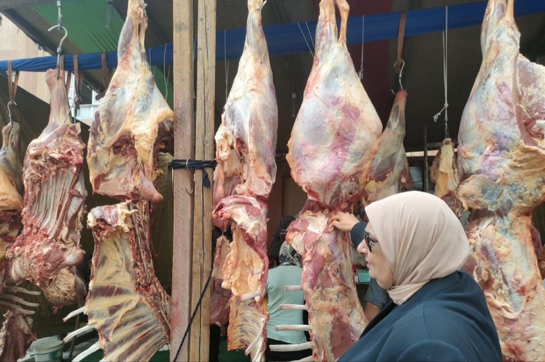 سعر اللحمة