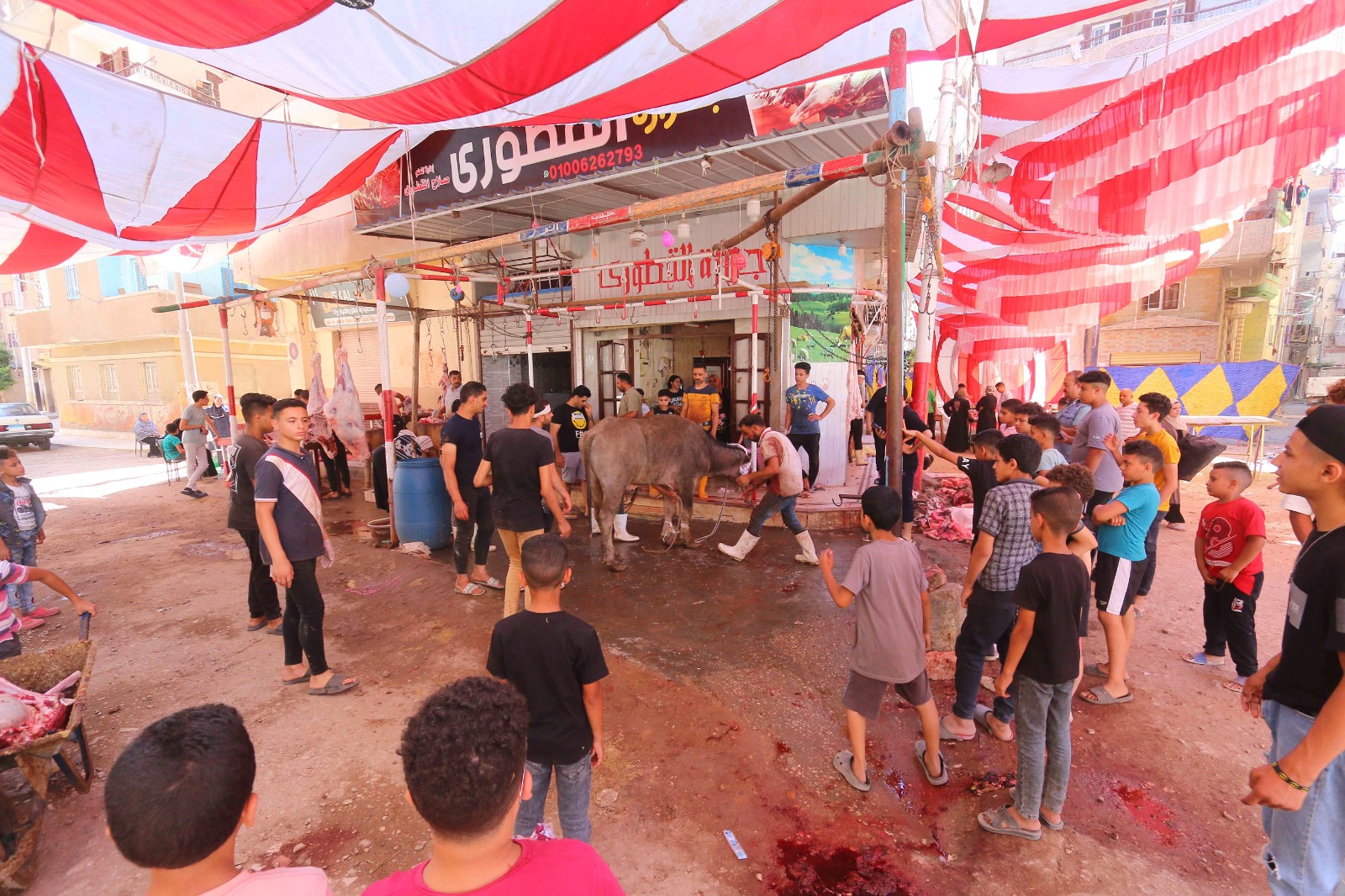استمرار ذبح الاضاحي ثاني ايام العيد بالمنصورة