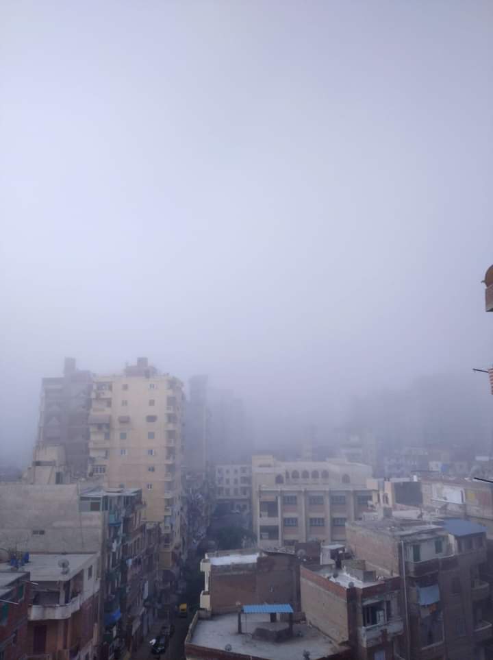 شبورة في الإسكندرية