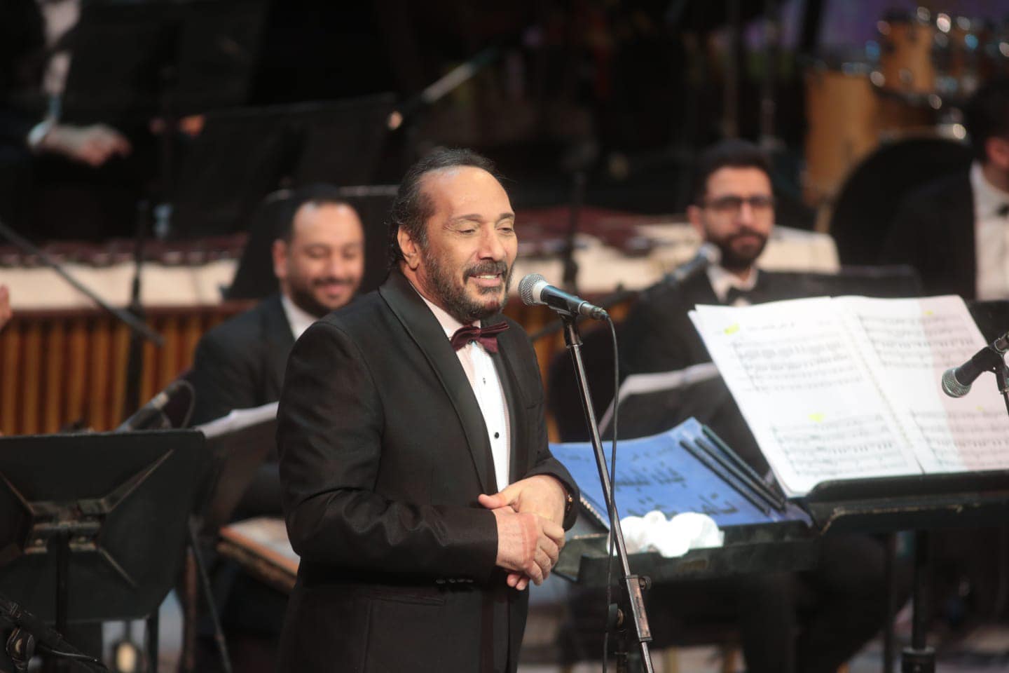 على الحجار