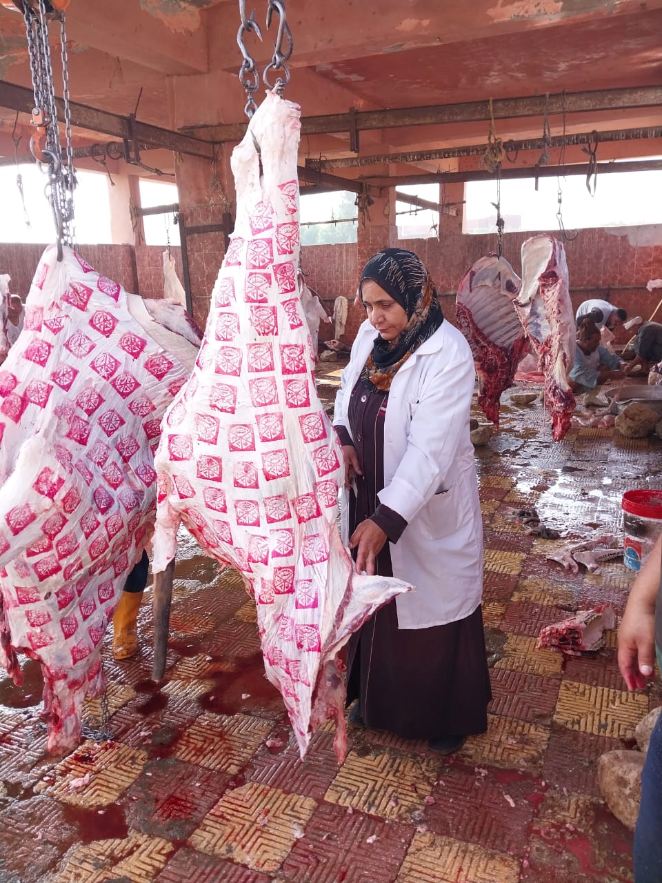 بيطري الشرقية : 70 طبيب للإشراف على المجازر وحملات لمنع الذبح العشوائي