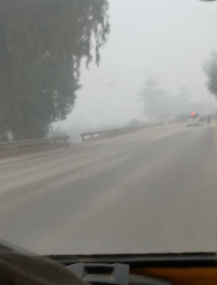 شبورة بأسيوط