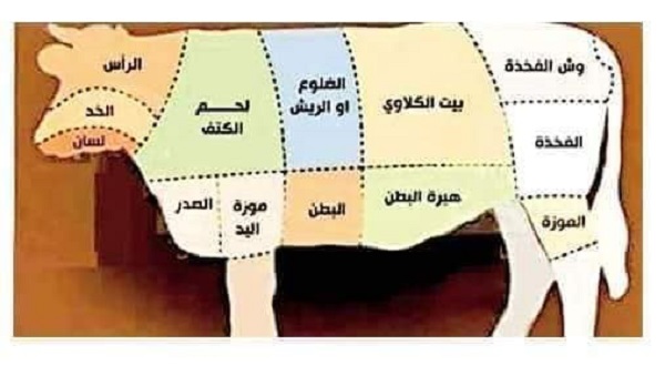 الأضاحي