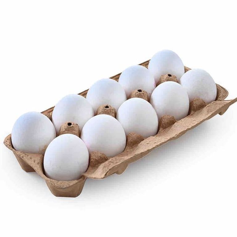 البيض