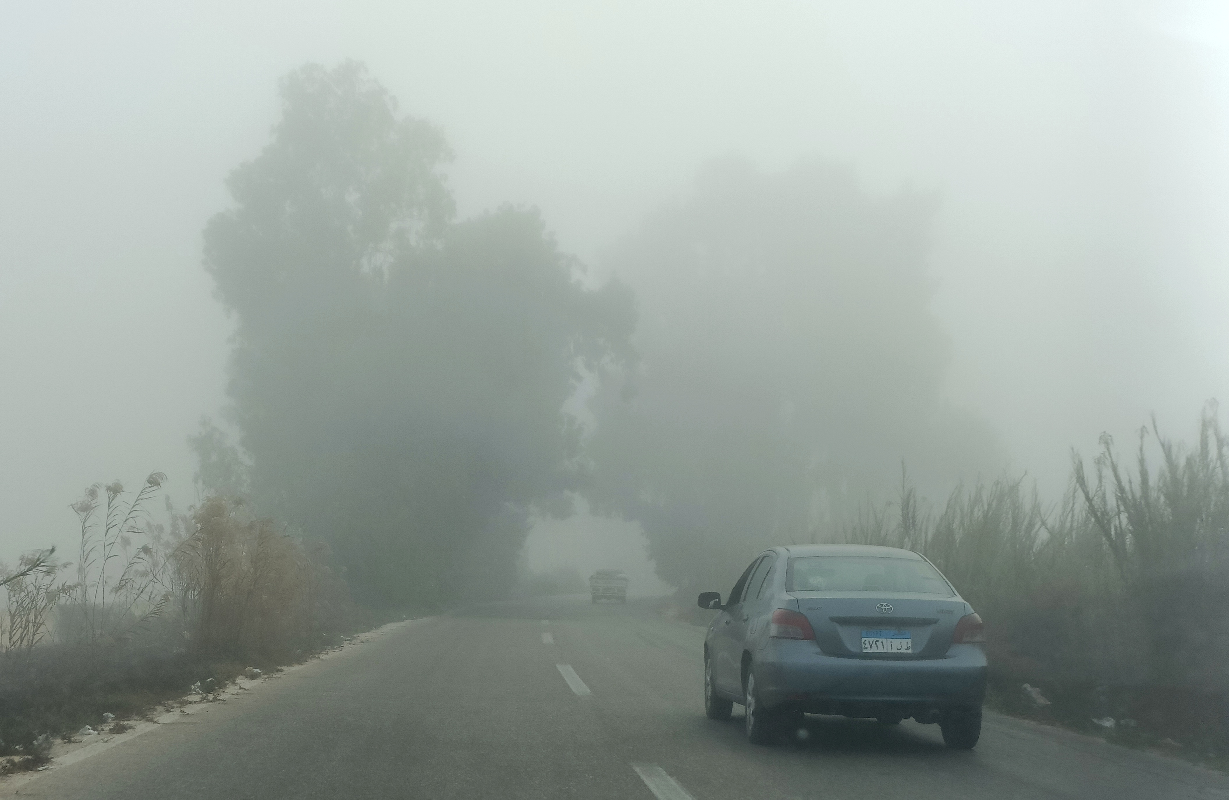 شبورة