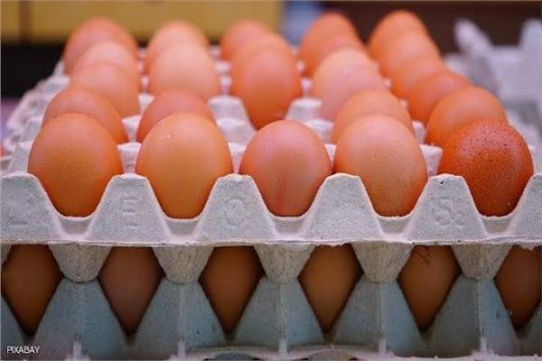 سعر طبق البيض اليوم