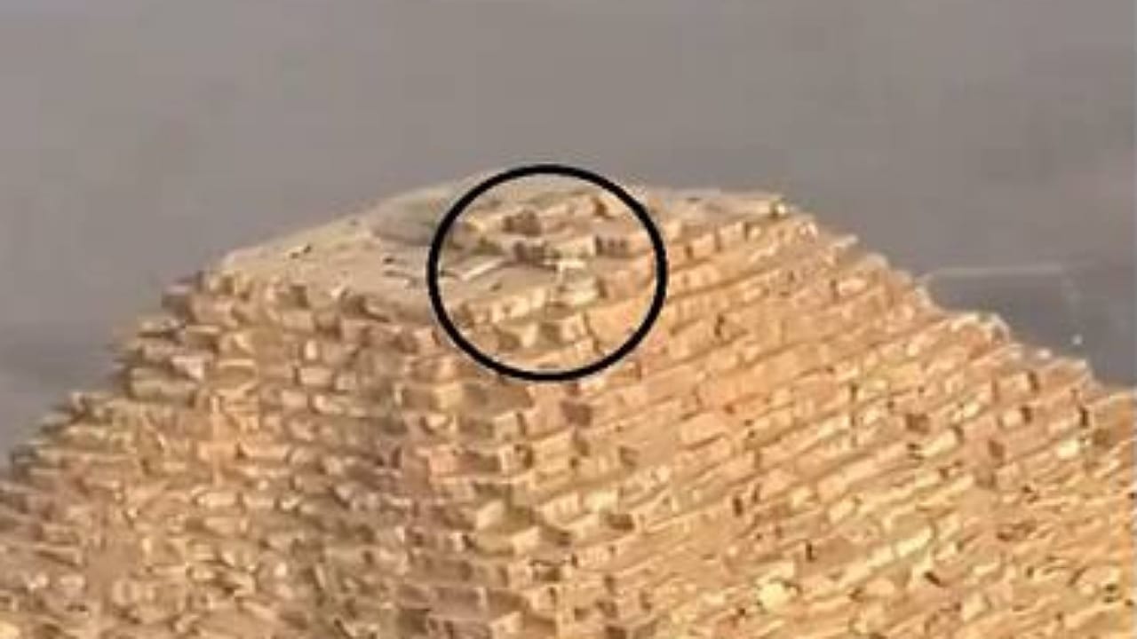 ظهور كلب فوق قمة الهرم