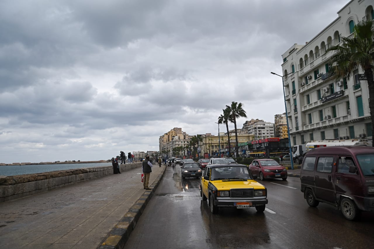 نوة الكرم بالاسكندرية