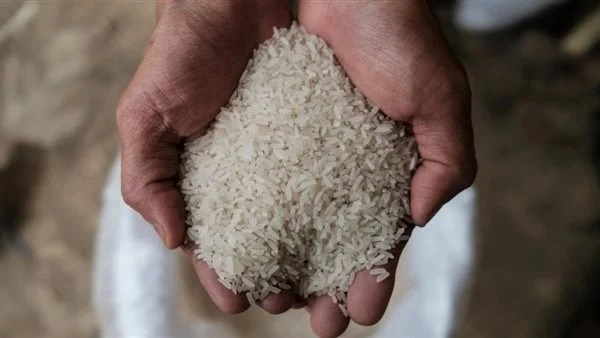 سعر-الارز-اليوم