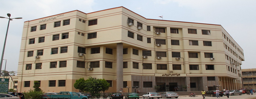 جامعة المنصورة