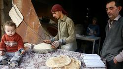 مخبز سورى يدخل "جينس" بسبب مخالفاته