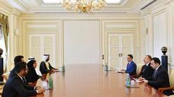 رئيس أذربيجان يستقبل وزيرة التسامح الإماراتي في باكو