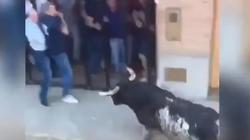 «من أول نطحة».. ثور هائج يقتل مسنا في إسبانيا (فيديو)