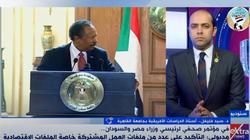 خبير: التعاون الزراعي بين مصر والسودان يمكنه إنقاذ العالم العربي