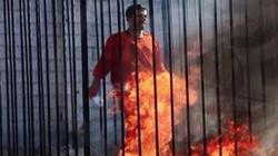 شقيق "الكساسبة" يستنكر تجسيد مشهد الحرق في "ضد مجهول": مسيء