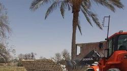 حي الجناين بالسويس يسترد 400 متر أراضي تعديات على أملاك الدولة