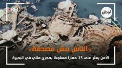 الأمن يعثر على 13 حمارا مسلوخا بمجرى مائي في البحيرة: «الناس مش مصدقة»