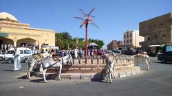 "بيطري الجيزة": إصدار بطاقات رقم قومي للحمير "شائعة"