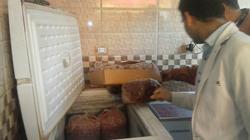 حي غرب الإسكندرية يشن حملة لمجابهة الأغذية الفاسدة.. ويحرر 6 محاضر