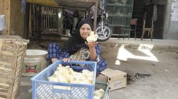 «30 سنة كتاكيت»: بشترى الواحد بـ«نص جنيه».. وببيعه بالخسارة
