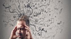 في اليوم العالمي للنباتيين.. ماذا يحدث لجسمك عند تناول الخضراوات فقط؟