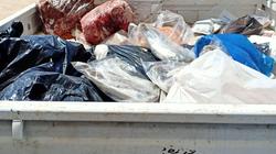 ضبط 18 طن مقطعات دواجن ولحوم وكبده فاسدة بالجيزة