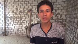 بالفيديو|"يوسف" أصغر مربي نعام في مصر.. تعلم منه كيف تنفذ مشروع مربح؟!