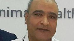 "البيطريين": إنفلونزا الطيور الجديدة ليست خطيرة