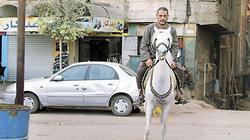 صاحب صاحبه: «جمعة» وحصانه «شمس».. حب من أول «رقصة»