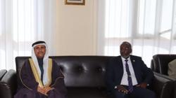 العسومي: زيارتنا إلى جيبوتي تفعيل لدور الدبلوماسية البرلمانية العربية