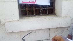 شيخ الطريقة السمانية: مؤامرة لهدم ضريح "شطا" بدمياط