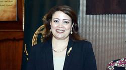 وكيل لجنة العلاقات العربية بـ«الشيوخ»: مصر الشقيقة الكبرى لدول المنطقة (حوار)