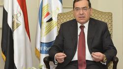 الملا لـ"الوطن": تشغيل محطة دمياط للإسالة خلال شهور بعد تسوية قضية التحكيم