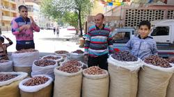 بلح «الساحل»: الإقبال ضعيف.. والأمل فى «الجمعيات الخيرية»