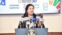 غادة خليل: منح ريادة الأعمال تنتج 700 مشروع في القطاعات المختلفة