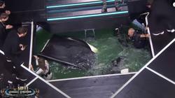 فيديو.. مصور "رامز مجنون رسمي" يقع في فخ المقلب.. ومنة عرفة: "أحسن"