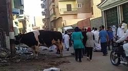 إقبال متوسط على الحدائق والمتنزهات بأسيوط لانشغال الأهالي بالأضاحي