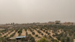 كهرباء شرق الدلتا تعلن دعم القدرات الكهربائية للتنمية بشمال سيناء