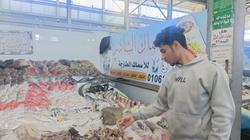 بدء تطبيق قرار منع تداول أسماك البحر الأحمر في الأسواق لمدة 75 يوما
