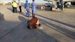 مطار القاهرة يستقبل 304 مصريين قادمين من الكويت