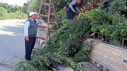 رفع 700 طن قمامة وأتربة في حملات بالدقهلية