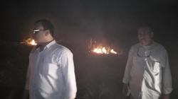 تحرير 37 محضر بيئة لحرق مخلفات الذرة بمنفلوط في أسيوط
